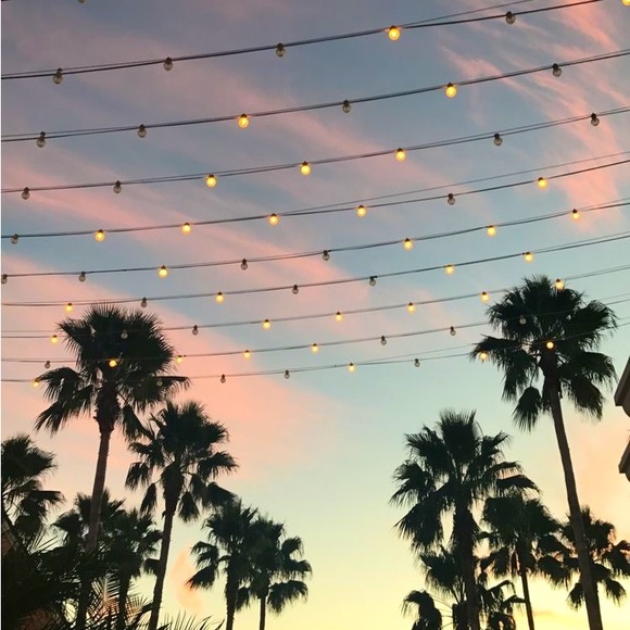 Meet your Posher - Picture 4 of 4